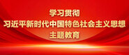 插逼艹你学习贯彻习近平新时代中国特色社会主义思想主题教育_fororder_ad-371X160(2)